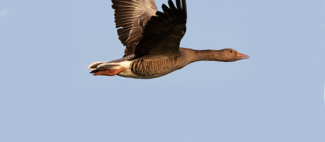 Déménagement du cabinet de sophrologie : Jour J